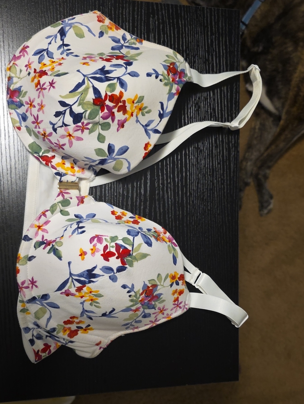Cacique White Floral Underwire Bra with Multicolor Blossom Print